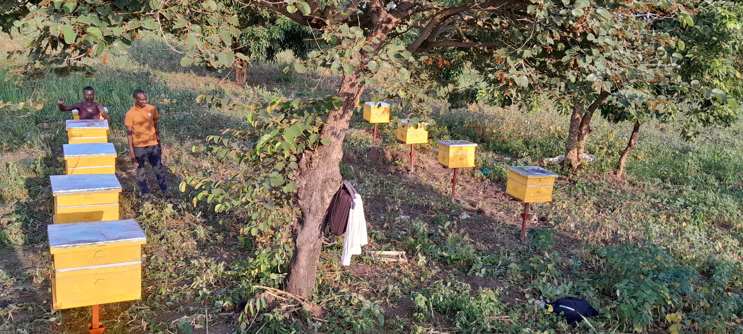 Rural Uganda Farming